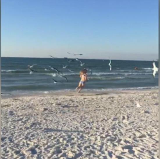 女孩沙滩上喂海鸥招致群鸟追逐 满海滩尖叫逃跑