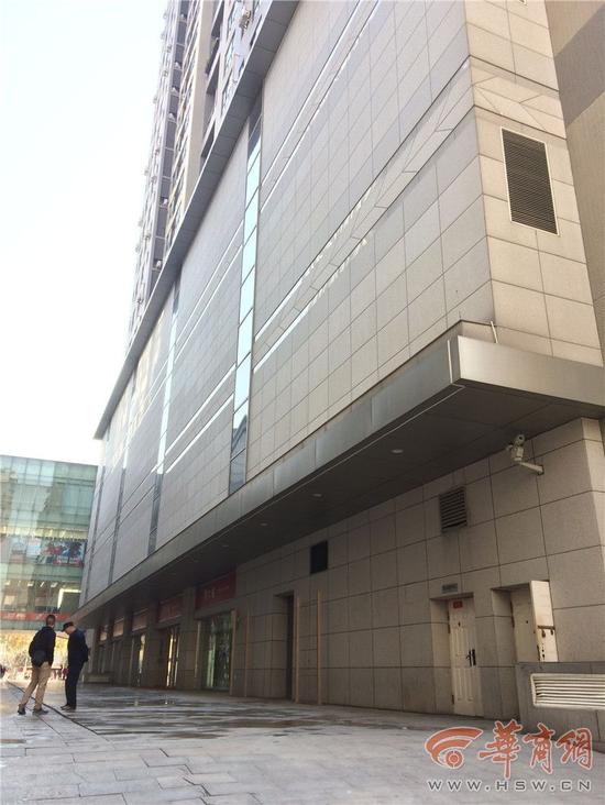视频显示