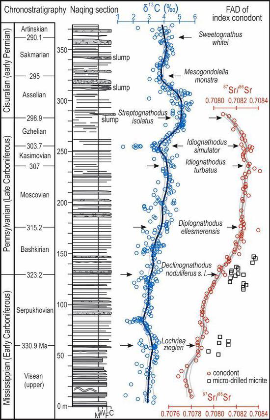纳庆剖面柱状图及碳、锶同位素 来源:中科院南京古生物所
