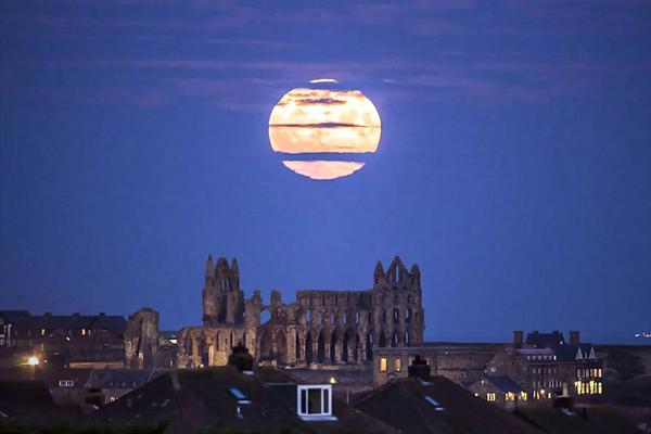 马刺vs热火七场-乐鱼app(leyu)官方网站-乐鱼官网