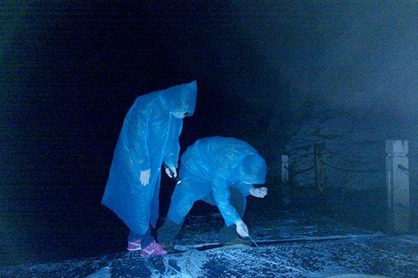 杀马特发型-乐鱼app(leyu)官方网站-乐鱼官网