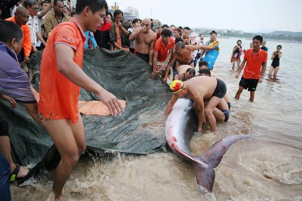 四海钓鱼在线直播-乐鱼app(leyu)官方网站-乐鱼官网