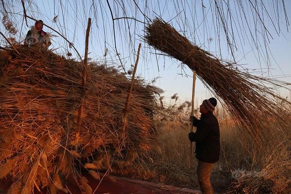 利物浦官网-乐鱼app(leyu)官方网站-乐鱼官网