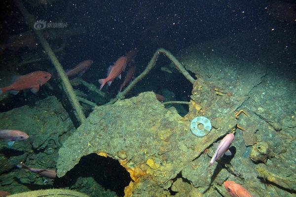 迭戈米利托-九游体育APP下载-九游体育app-九游体育app官网网站|九游体育