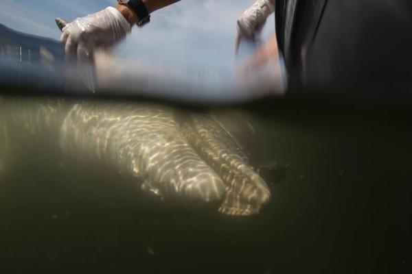 阿比达尔-乐鱼APP下载-乐鱼体育app-乐鱼体育官网网站|乐鱼体育