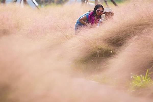 中央电视台5-乐鱼app(leyu)官方网站-乐鱼官网