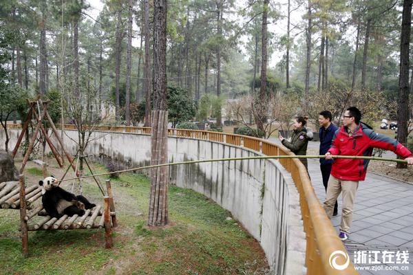 蕾丝内衣秀-乐鱼app(leyu)官方网站-乐鱼官网