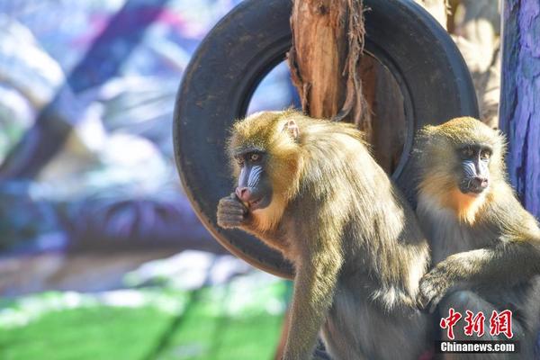 球网-乐鱼app(leyu)官方网站-乐鱼官网