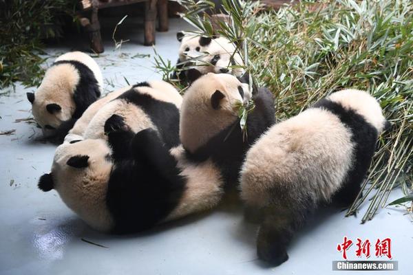 德甲球队分布图