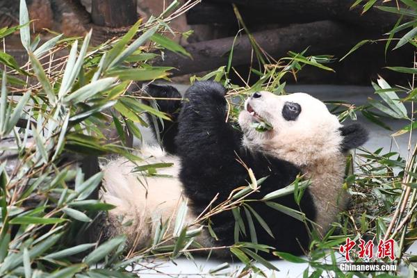 2008女子体操-乐鱼app(leyu)官方网站-乐鱼官网