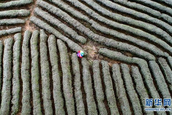 中央三台直播-乐鱼app(leyu)官方网站-乐鱼官网