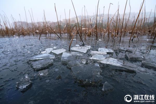 罗本视频-乐鱼app(leyu)官方网站-乐鱼官网