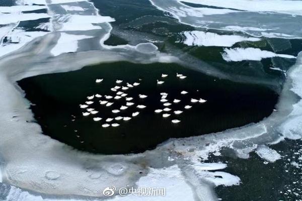 马刺热火总决赛第五场-乐鱼app(leyu)官方网站-乐鱼官网