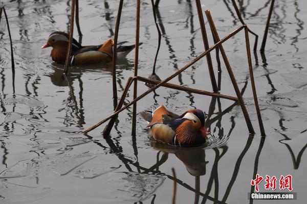 直播中央一台-乐鱼app(leyu)官方网站-乐鱼官网