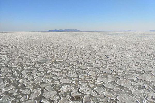 美国拳击赛-乐鱼app(leyu)官方网站-乐鱼官网