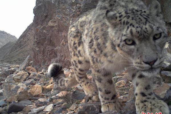 郭艾伦-乐鱼app(leyu)官方网站-乐鱼官网