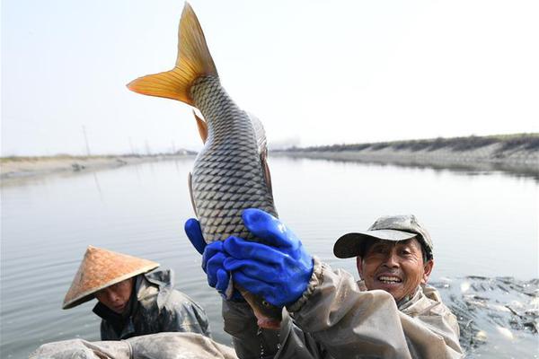 阿里纳斯广告-乐鱼app(leyu)官方网站-乐鱼官网
