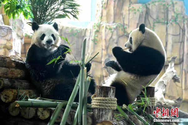 世界杯球衣-爱游戏APP(中国)官方网站下载_AIYOUXI体育