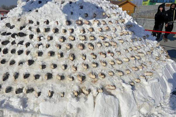 1999年足协杯决赛-乐鱼app(leyu)官方网站-乐鱼官网