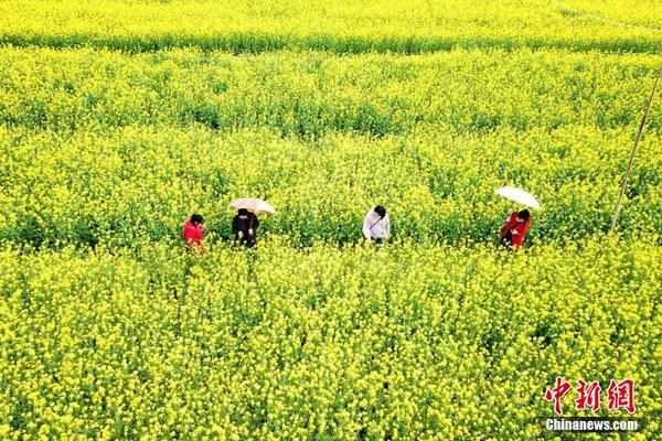 球衣印号-万博体育(官网)官方网站-万博体育app官网下载-ManBetX