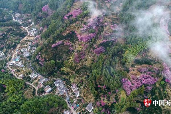 伯纳-乐鱼app(leyu)官方网站-乐鱼官网