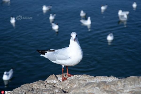 德国门将卡恩-乐鱼app(leyu)官方网站-乐鱼官网