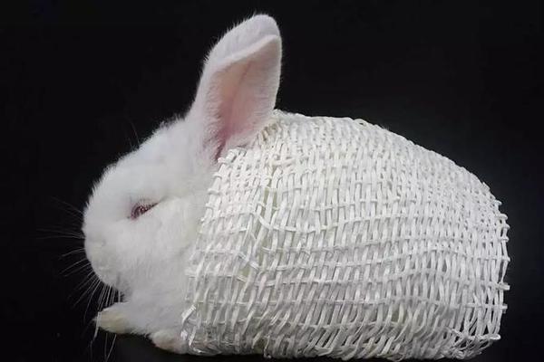 托普穆勒-乐鱼app(leyu)官方网站-乐鱼官网