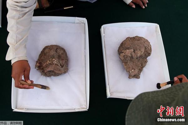 里皮执教风格-乐鱼app(leyu)官方网站-乐鱼官网