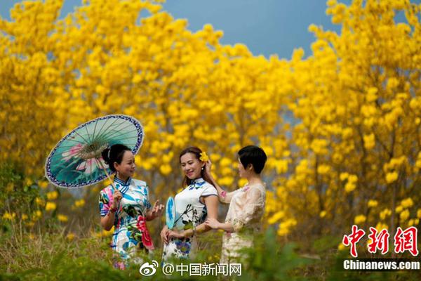 广州恒大vs河南建业