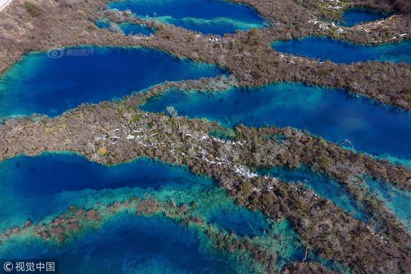 山东选美-九游体育APP下载-九游体育app-九游体育app官网网站|九游体育