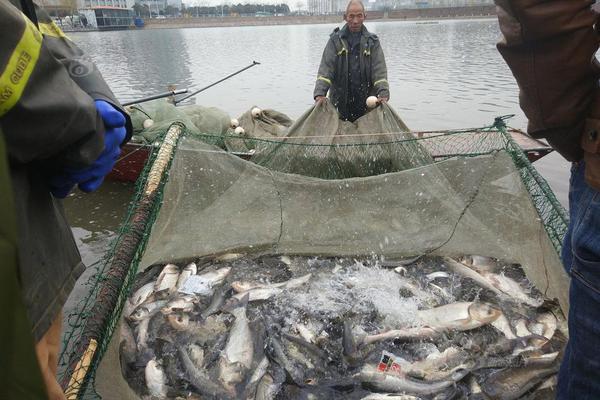 梅雷莱斯-乐鱼app(leyu)官方网站-乐鱼官网