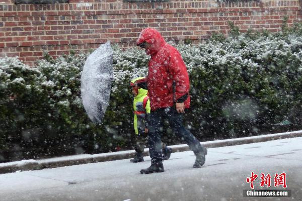 梗概是什么意思啊