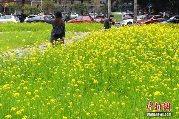 【连红回归！长线43中36！高胜率84%】爆红期???特意甄选串子