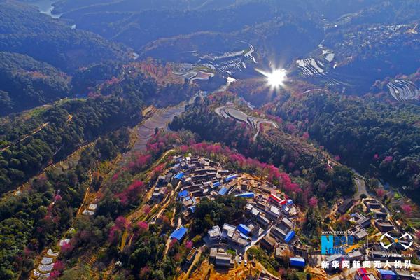 横店炮王霍建华什么梗