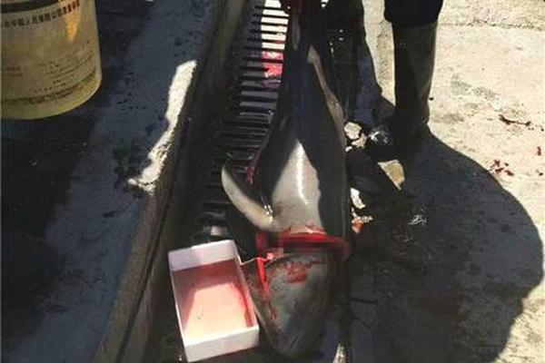 六合彩中4個字幾錢？從五獎、四獎到頭獎，一場關於運氣與財富的小資翻身指南 