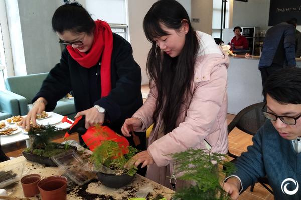 我国明确乡村建设行动路线图