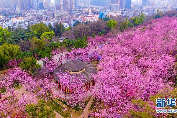 妈妈的味道图片什么梗