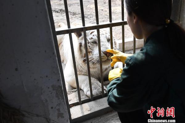 考研女生在自习室敷面膜 同学：吓人但比讲话影响别人好