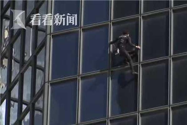 妇邢白丽的影视世界，免费观看、在线观看与剧情介绍