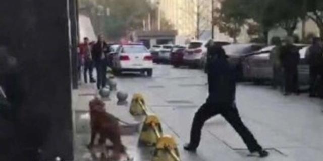 全民话题：金毛咬人被棒杀，你是否支持民警处置方式？