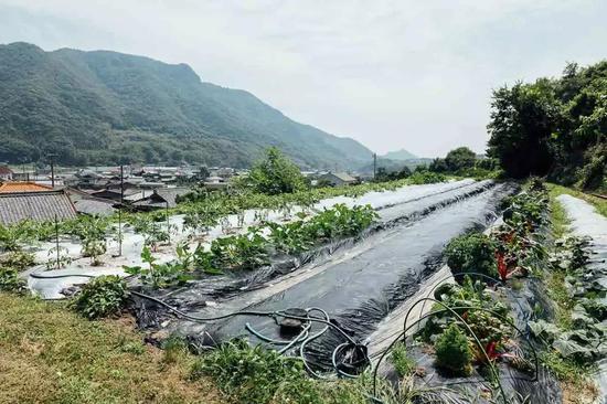 两人花了大半年时间