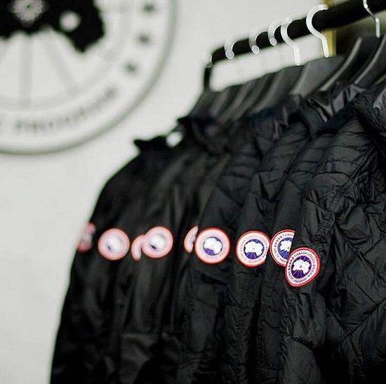 图片来源：canada goose