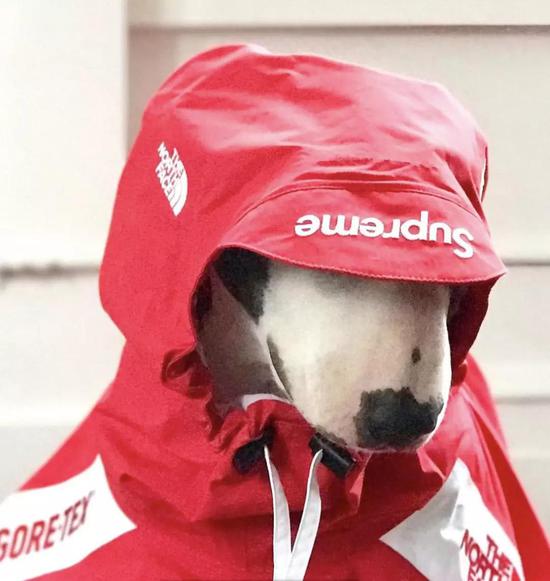 它可以在雨天穿上你也抢不到的 Supreme Gore-Tex 外套；