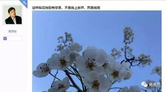 Round3:生意各处开花 VS 事业起落无常