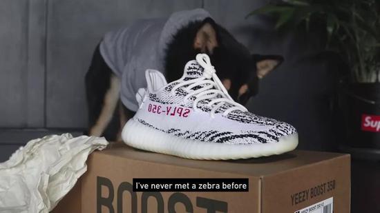 Yeezy 350 V2 Zebras…