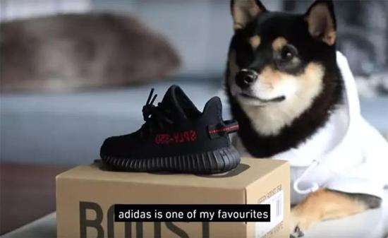 至于最喜欢的品牌?adidas 是 Dachi 心目中最爱之一。