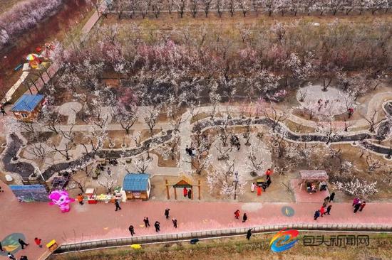 土右旗第五届杏花旅游文化节在沟门镇大雁滩景区举行