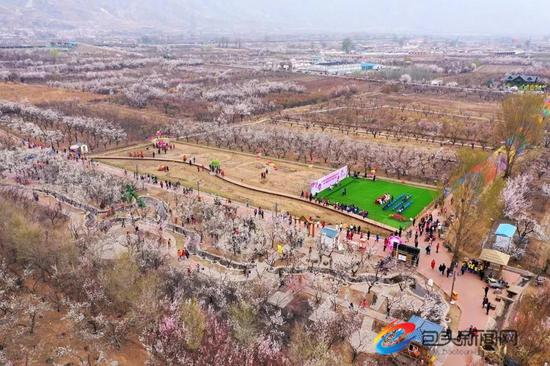 土右旗第五届杏花旅游文化节在沟门镇大雁滩景区举行