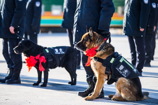 二连边检站举行警犬退役仪式:无言战友 “犬”力以赴