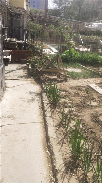 元兴花园小区私搭乱建再现